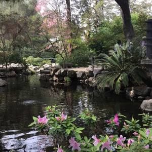 Meet your Posher, Rowena